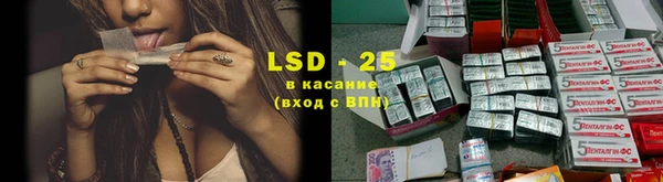 ГАЛЛЮЦИНОГЕННЫЕ ГРИБЫ Аркадак