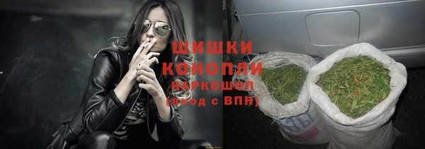 ГАЛЛЮЦИНОГЕННЫЕ ГРИБЫ Аркадак
