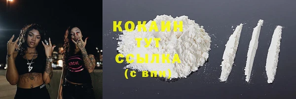 ГАЛЛЮЦИНОГЕННЫЕ ГРИБЫ Аркадак