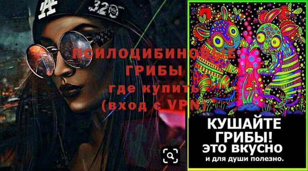 твердый Арсеньев