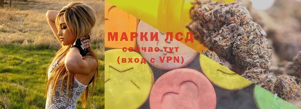 твердый Арсеньев