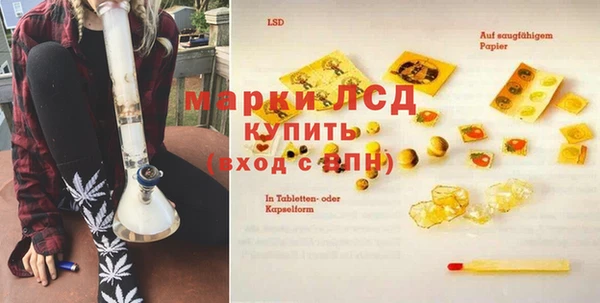 твердый Арсеньев
