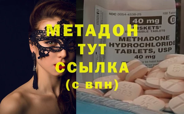 ГАЛЛЮЦИНОГЕННЫЕ ГРИБЫ Аркадак