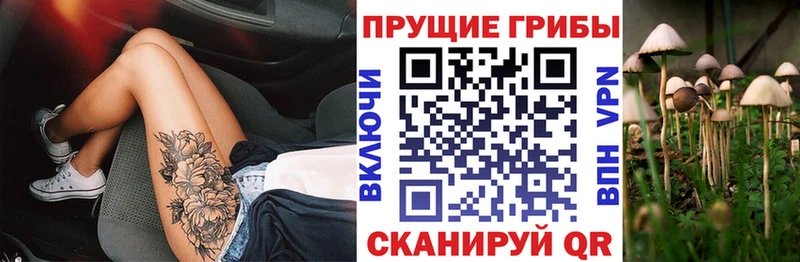 ОМГ ОМГ онион  магазин  наркотиков  Лихославль  Галлюциногенные грибы GOLDEN TEACHER 